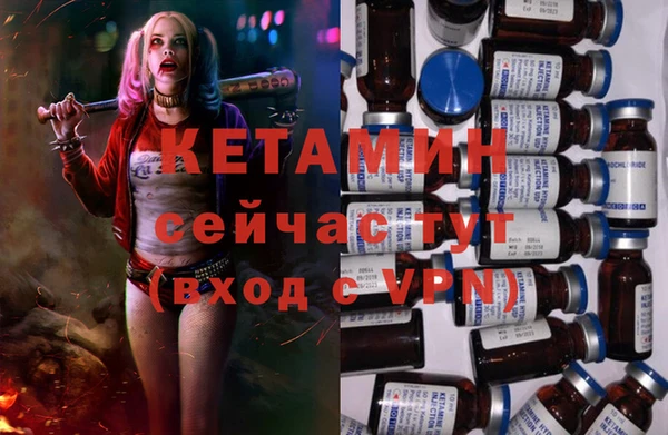стаф Семилуки