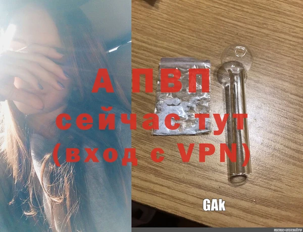 соль ск Абаза