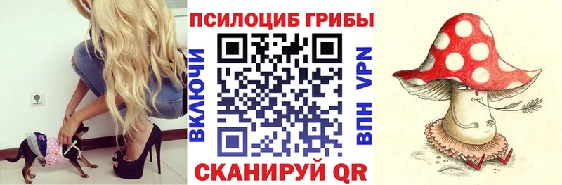 omg ссылка  Чухлома  Псилоцибиновые грибы Cubensis 